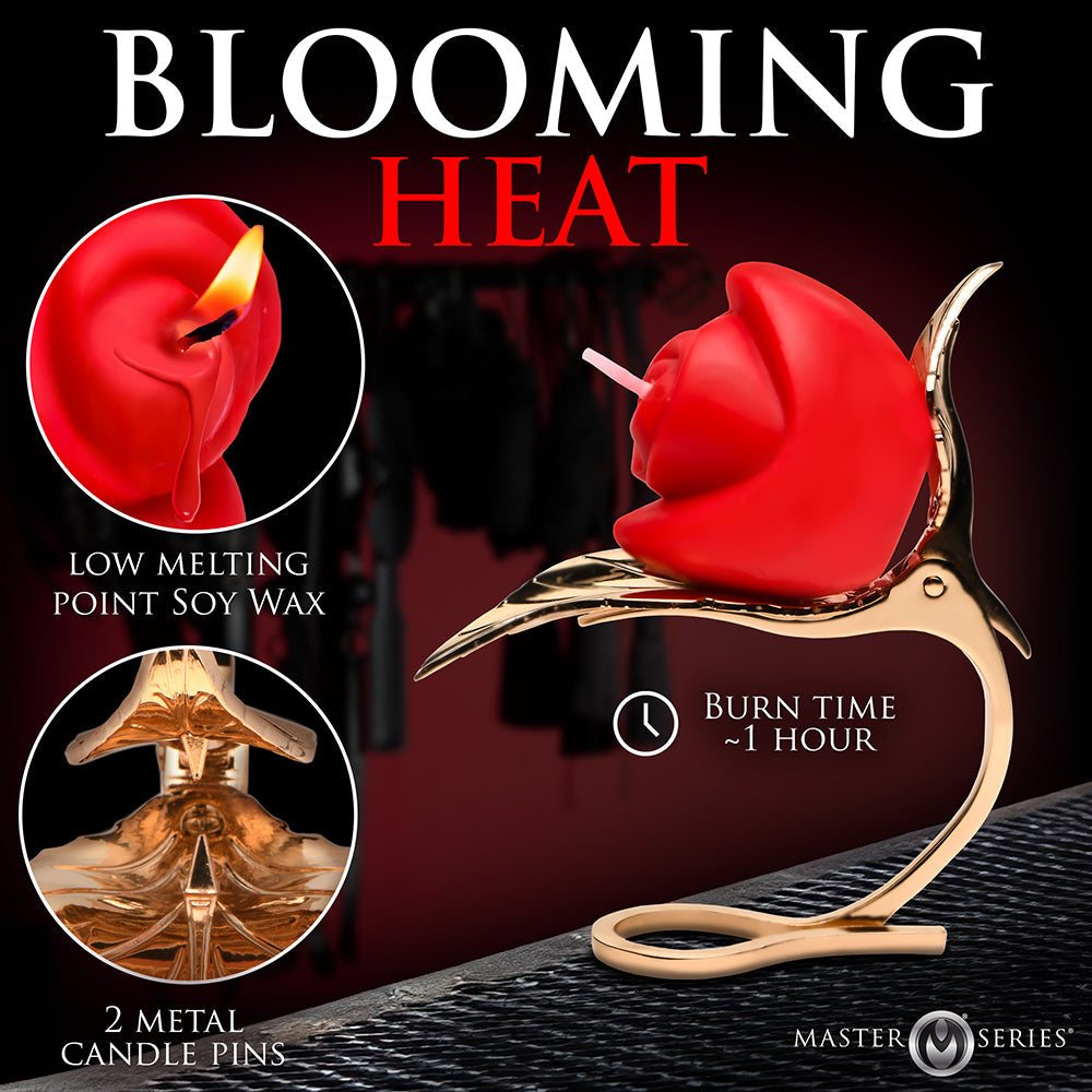 MasterSeriesBurningPassionRoseCandlewithHolderinfographic