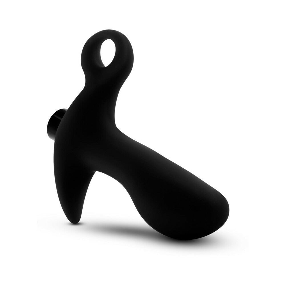 Anal Adventures Prostate Massager 01-