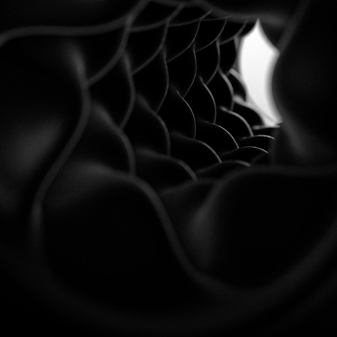 Arcwave Pow-Black-